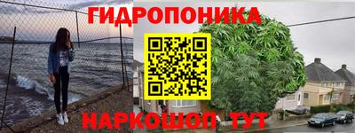 индика Малоярославец