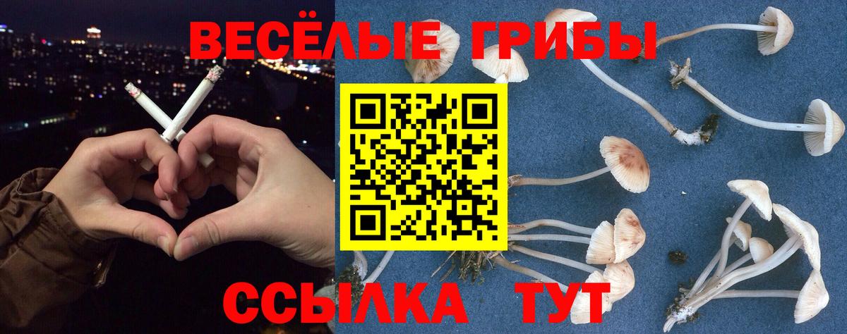что такое   Вход с VPN  Ульяновск  Псилоцибиновые грибы мухоморы 