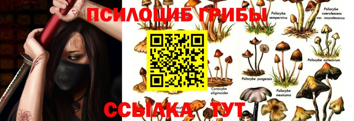 Псилоцибиновые грибы ЛСД Ульяновск